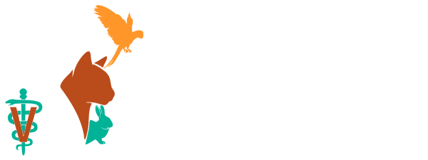 Lifetime Animal Hospital